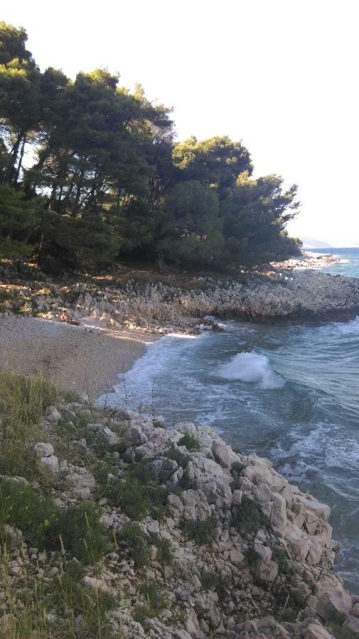 Apartment Tihana Ravni Εξωτερικό φωτογραφία