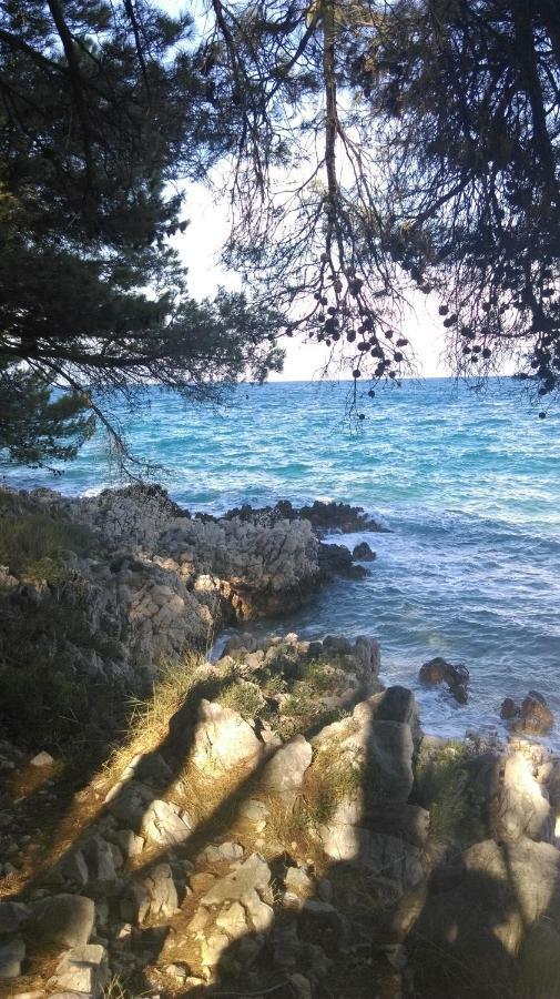 Apartment Tihana Ravni Εξωτερικό φωτογραφία